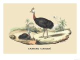 Casoar Casque Poster by E.f. Noel