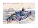 Butterfly Fish and Gattoruginous Blenny Prints by Robert Hamilton