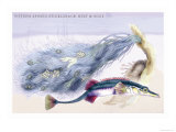 Fifteen Spined Stickleback Nest and Eggs Posters by Robert Hamilton