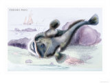 Fishing Frof Posters by Robert Hamilton
