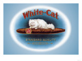 White-Cat Cigars Posters