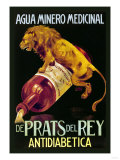 Agua Minero Medicinal de Prats del Rey Posters