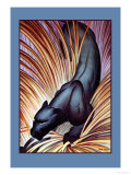 Stalking Panther Photo by Major Felton