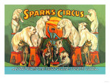 Sparks Circus Poster