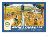 Abonos Organicos Lámina Abonos Organicos Lámina