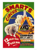 Billy Smart's New World Circus and Menagerie: 12 Polar Bears, 7 Black Bears Plakat Billy Smart's New World Circus and Menagerie: 12 Polar Bears, 7 Black Bears Plakat
