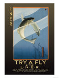 Try a Fly Photo by V.l. Danvers