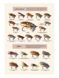 Fly-Fishing Lures: Standard and Hair Posters