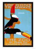 The London Zoo: South American Toucans Prints by Tony Castle