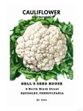 Cauliflower: Early Snowball Prints
