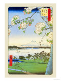 Cherry Blossoms Photo by Ando Hiroshige