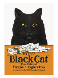 Black Cat Pure Matured Virginia Cigarettes Posters