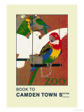 The London Zoo: Exotic Birds Posters by S.t.c. Weeks