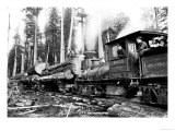 Logging Train Prints by Clark Kinsey