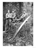 Stump Poster by Clark Kinsey