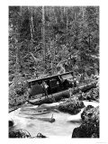 Logging Boat in a Tangle Prints by Clark Kinsey