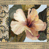Hibiscus II Prints by Di Grazzia 