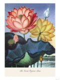 Fleur sacrée égyptienne Posters