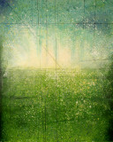 Splash Poster