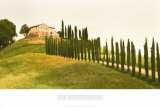 Tuscan Hills Prints by Jim Chamberlain Tuscan Hills Prints by Jim Chamberlain