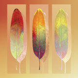 Golden Mean Prints by Robert Mertens