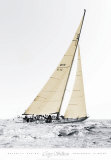 Nefertiti Racing, Nantuckett 12 Meter Regatta Posters by Cory Silken