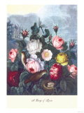 Roses, Temple of Flora Photo