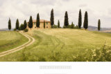 Springtime in Tuscany Posters par Jim Chamberlain