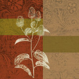 Plant Study IV Posters by Paula Scaletta