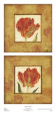 Les Tulipes Prints by Eleanor Rahim Les Tulipes Prints by Eleanor Rahim