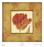 Les Tulipes I Prints by Eleanor Rahim Les Tulipes I Prints by Eleanor Rahim