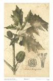 Botanica I Poster von Ludwig Van Houtte