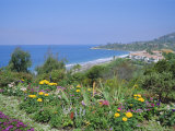 Laguna Beach, California, USA Lámina fotográfica por Geoff Renner