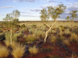 Red Centre Landscape Near Uluru, Yulara, Northern Territory, Australia Photographic Print by Ken Gillham