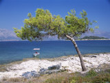 Deserted Island Beach, Lumbarda, Corcula (Korcula) Island, Southern Dalmatia, Croatia, Europe Photographic Print by Peter Higgins