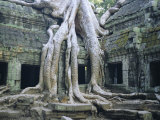 Ta Prohn, Angkor, Siem Reap, Cambodia, Indochina, Asia Photographic Print by Gina Corrigan