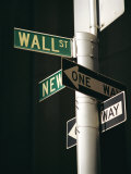 Wall Street Sign, New York City, New York State, USA Lámina fotográfica por Walter Rawlings
