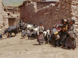 Village Scene with Tibetans and Their Animals, Lahuto, Tibet, China, Asia Photographic Print by Occidor Ltd