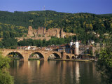 Castle, Neckar River and Alte Bridge, Heidelberg, Baden Wurttemberg, Germany, Europe Fotografie-Druck von Gavin Hellier