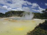 Geothermal Springs, Rotorua, South Auckland, North Island, New Zealand Photographic Print by Maurice Joseph