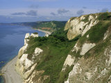 Hoskon Landslip, Beer Head, from Coastal Path, East Devon, England, UK Fotografisk trykk av Michael Black Hoskon Landslip, Beer Head, from Coastal Path, East Devon, England, UK Fotografisk trykk av Michael Black
