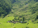 2000 Year Old Rice Terraces, Banga-An, Banaue, Luzon, Philippines Photographic Print by Maurice Joseph