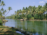 The Backwaters at Chavara, Kerala State, India, Asia Photographic Print by Jenny Pate