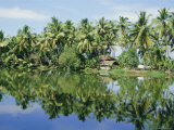 The Backwaters Near Kumarakom, Kerala State, India, Asia Photographic Print by Jenny Pate
