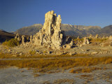 Tufas (Calcium Carbonate), Mono Lake, Tufa State Reserve, California, USA Photographic Print by Gavin Hellier Tufas (Calcium Carbonate), Mono Lake, Tufa State Reserve, California, USA Photographic Print by Gavin Hellier
