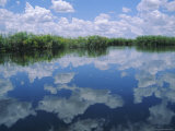 Okavango Delta, Botswana, Africa Photographic Print by Jenny Pate