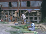 Village Scene, Toba Bataks, North Sumatra, Sumatra, Indonesia, Southeast Asia, Asia Photographic Print by Sybil Sassoon Village Scene, Toba Bataks, North Sumatra, Sumatra, Indonesia, Southeast Asia, Asia Photographic Print by Sybil Sassoon