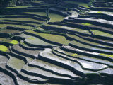 Flooded Rice Terraces, 2000 Years Old, Banaue, Island of Luzon, Philippines, Southeast Asia, Asia Photographic Print by Maurice Joseph