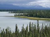 Muskeg, Tundra Wetland, with Lakes and Pine Forest, Glenallen, Alaska, USA Photographic Print by Anthony Waltham