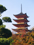 Five Storey Pagoda, Miyajima, Japan Photographic Print by Charles Bowman
